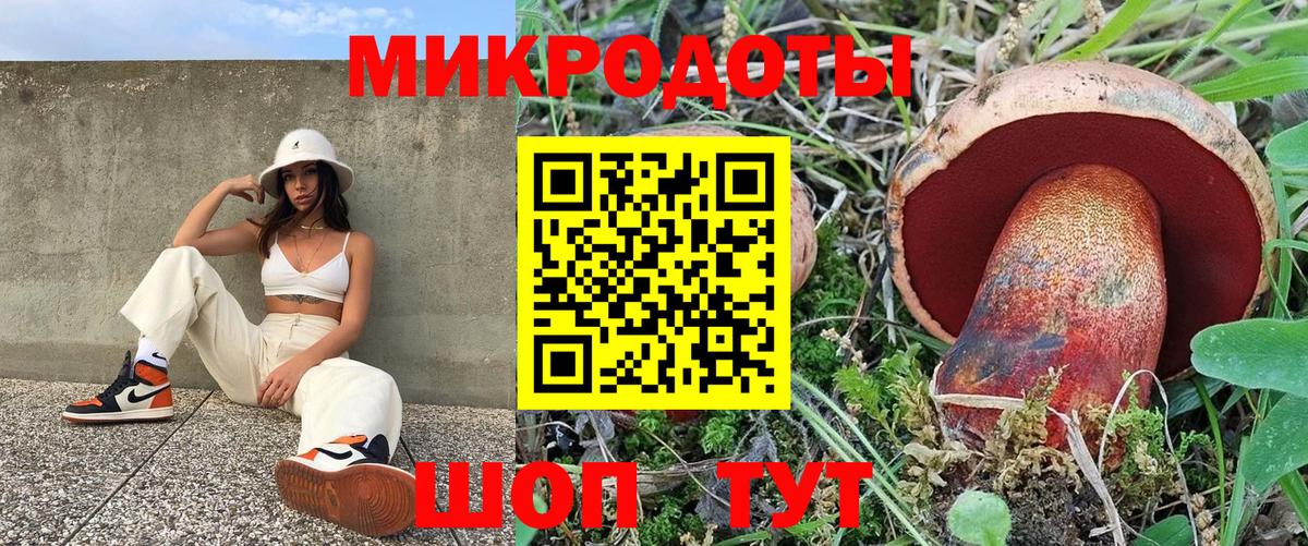 Галлюциногенные грибы Psilocybine cubensis  Псилоцибиновые грибы Psilocybine cubensis  Протвино  Вход с VPN 