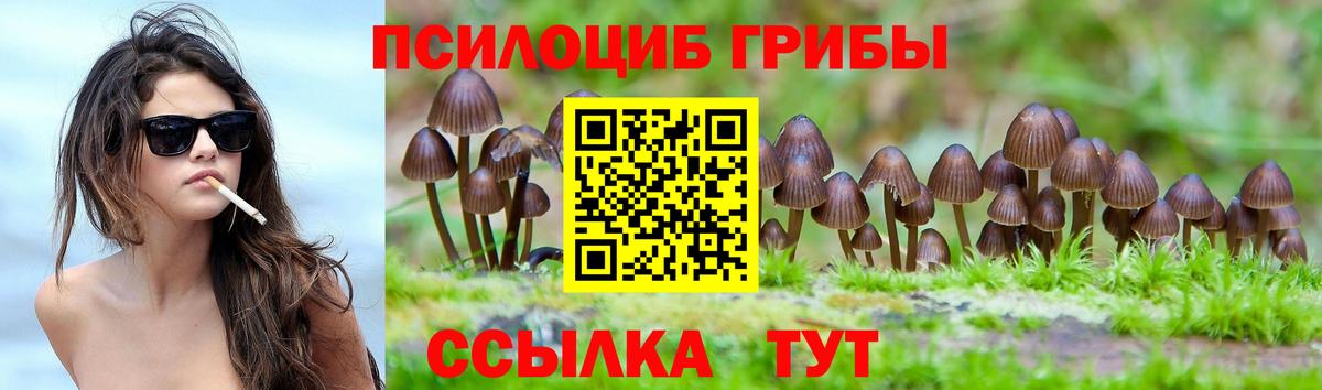 Псилоцибиновые грибы Psilocybe Протвино